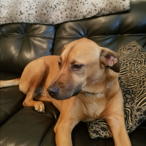 Meet your Posher, Megan - Picture 3 of 6